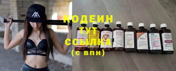 дживик Майский