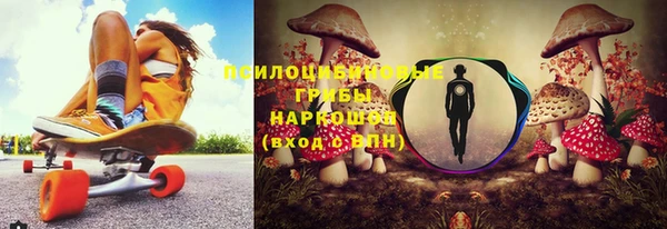 метадон Алексин