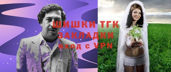 дживик Майский